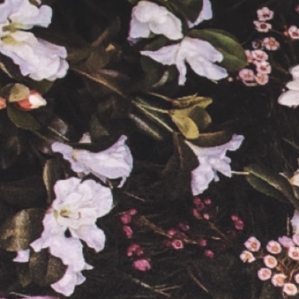 Meet your Posher, Genesis